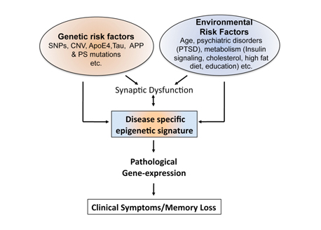 An epigenetic signature of brain disease