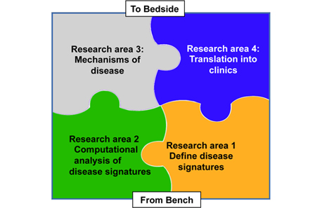 Our four areas